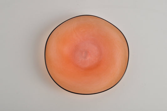 kasumi plate SS coral pink a0040