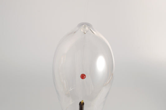 p-bell dome clear 2004