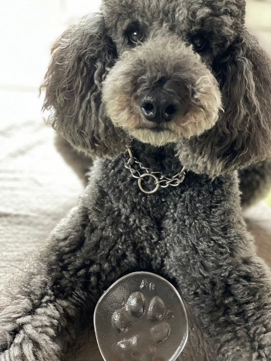 【木製スタンド付き】frescoのどうぶつてがた