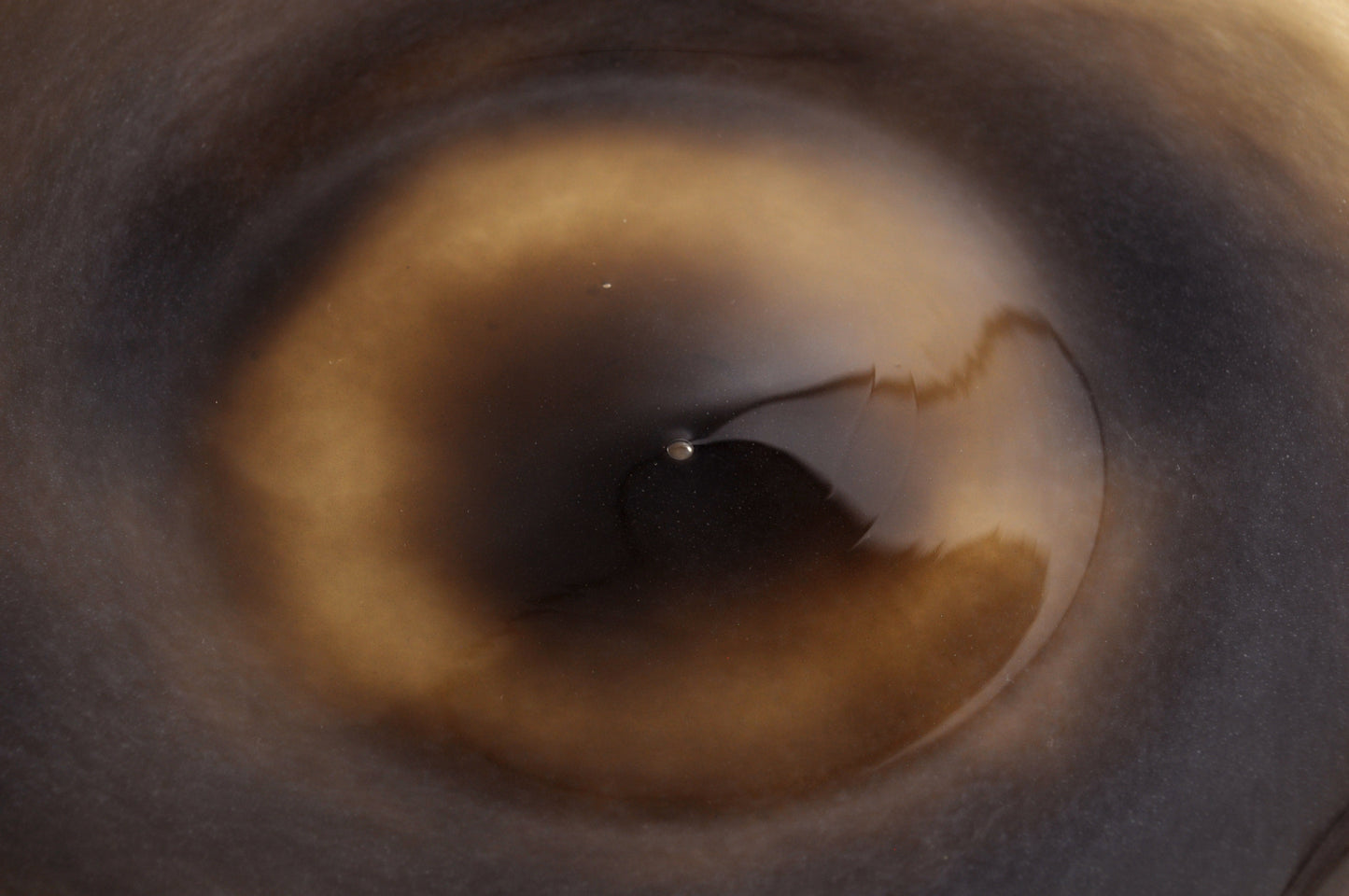 kasumi plate L green 4845