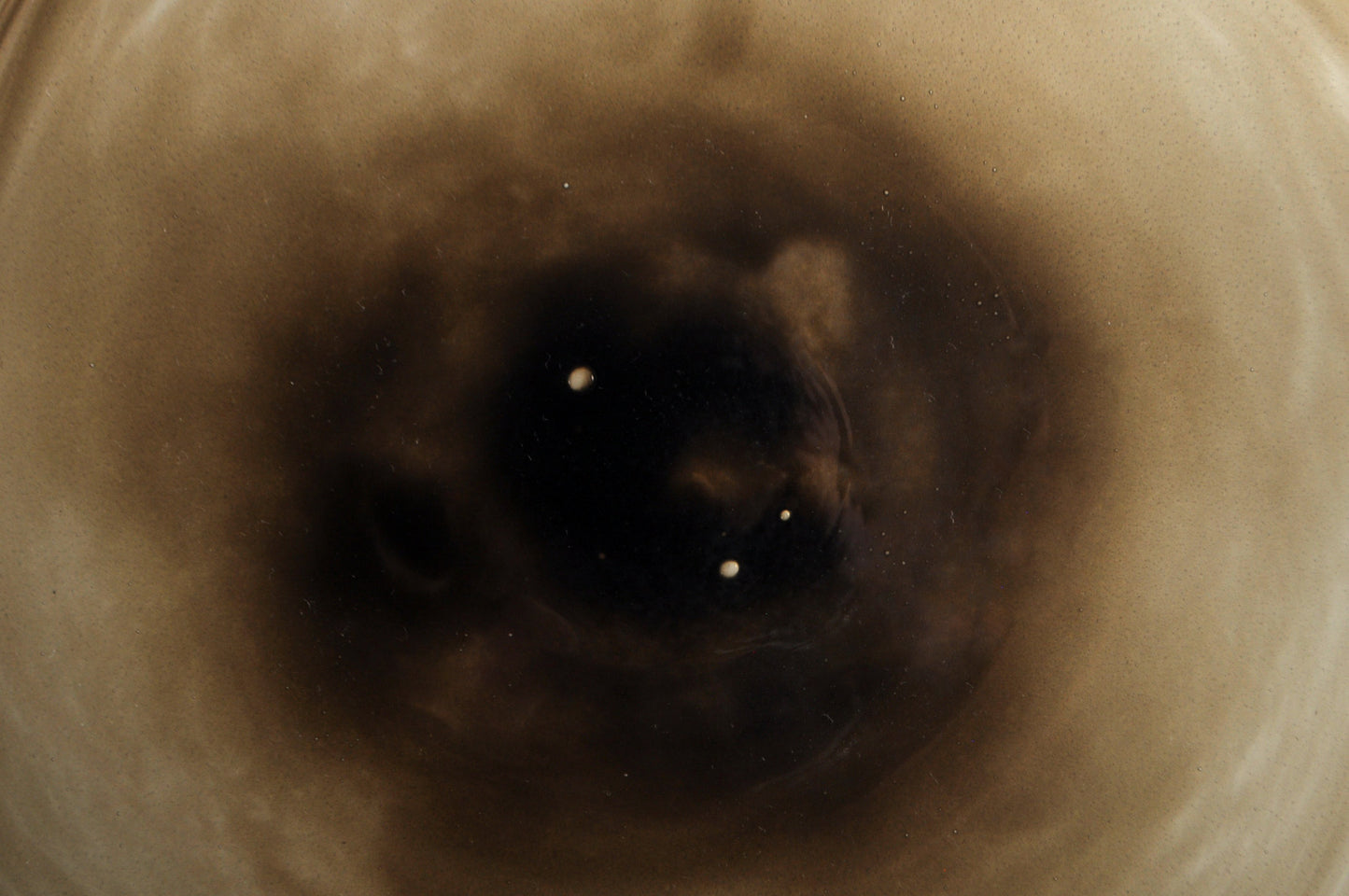 kasumi plate S green 5040